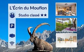 Cosy Studio, Ideal Detente, Rando, Vtt Et Ski